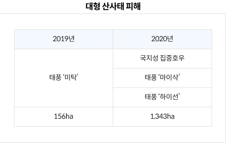 대형산사태 피해 2019년 태풍미탁 156ha 2020년 국지성 집중호우 태풍 마이식 태풍 하이선